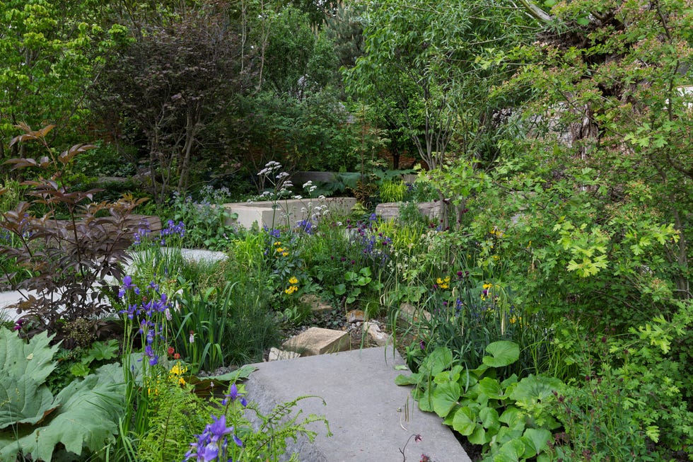 tom massey﻿ and je ahn's ai enabled avanade intelligent garden ﻿﻿rhs chelsea flower show 2025