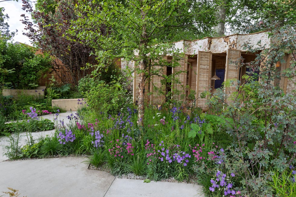tom massey﻿ and je ahn's ai enabled avanade intelligent garden ﻿﻿rhs chelsea flower show 2025