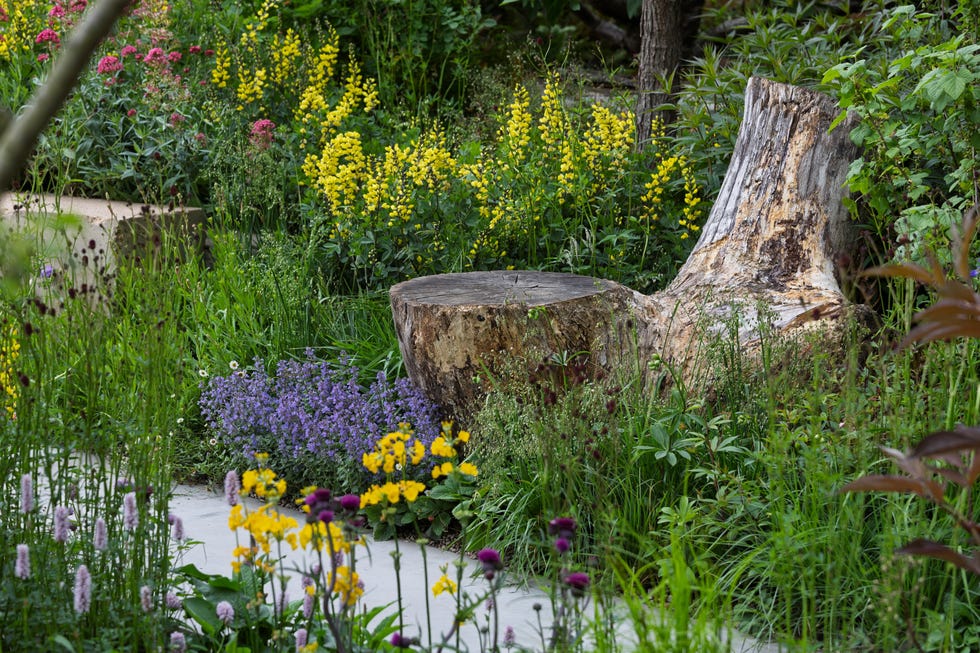 Tom Massey and Je Ahn's AI-enabled Avanade Intelligent Garden - RHS Chelsea Flower Show 2025 tom massey and je ahn's ai enabled avanade intelligent garden rhs chelsea flower show 2025