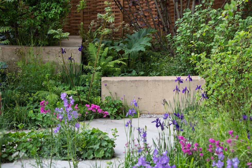 tom massey﻿ and je ahn's ai enabled avanade intelligent garden ﻿﻿rhs chelsea flower show 2025