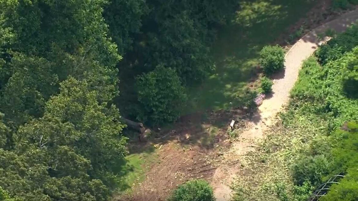 Fallen tree pins two at South Carolina Botanical Garden