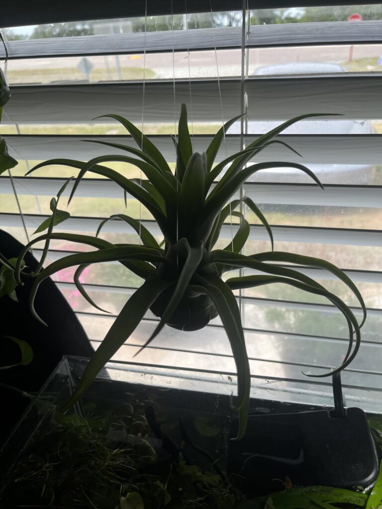 Update on my last post Update on my last post
