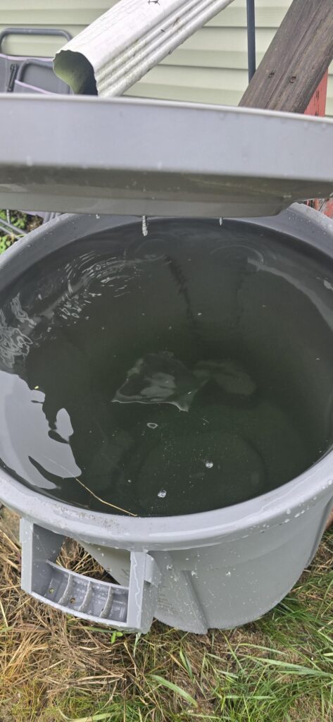 The rainwater collection system is a success