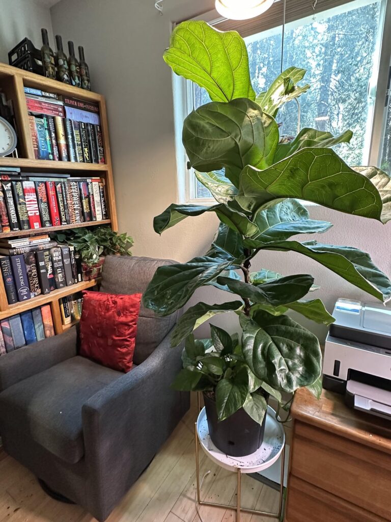 My Dumbass Got a FLF My Dumbass Got a FLF