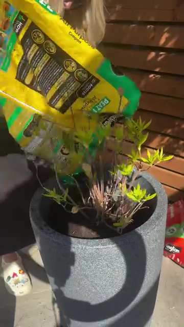 Person adding compost to a potted plant.