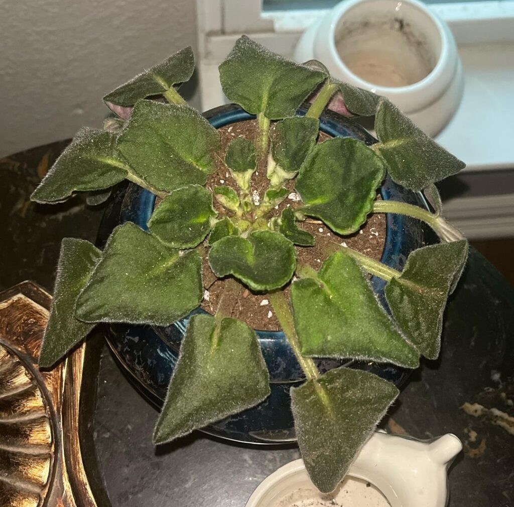 Help please!