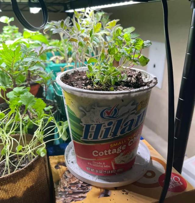 Commenters loved the idea.