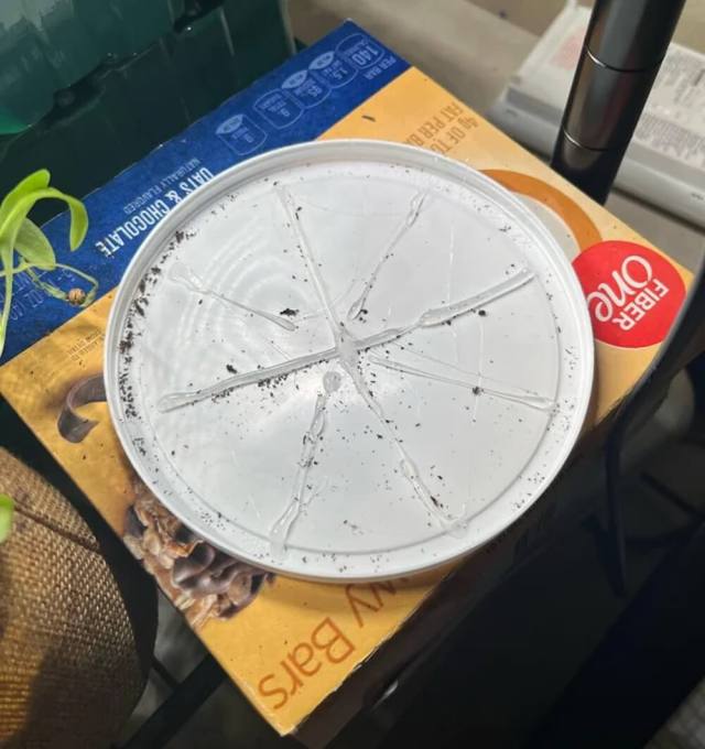 Commenters loved the idea.