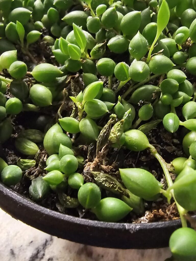 What’s going on with mine? What's going on with mine?