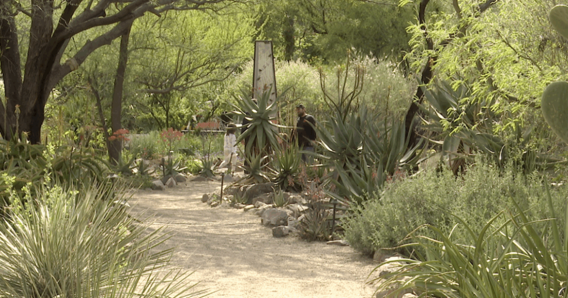 Tucson Botanical Gardens acquires Yume Japanese Gardens Tucson Botanical Gardens acquires Yume Japanese Gardens
