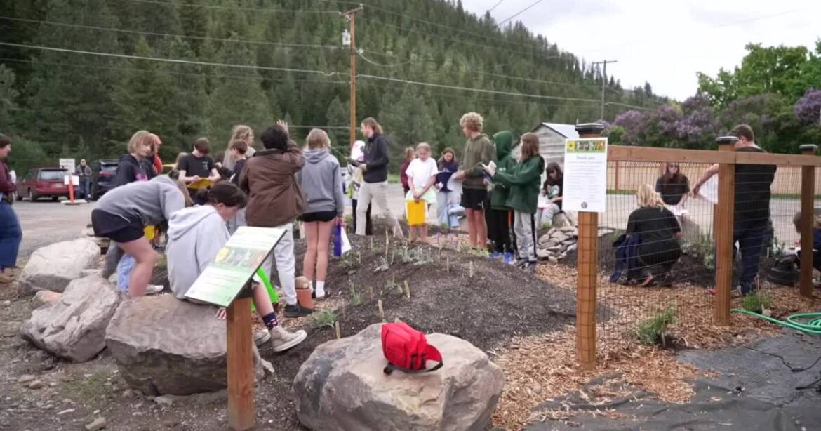 New native plant garden unveiled in Bonner as community project New native plant garden unveiled in Bonner as community project
