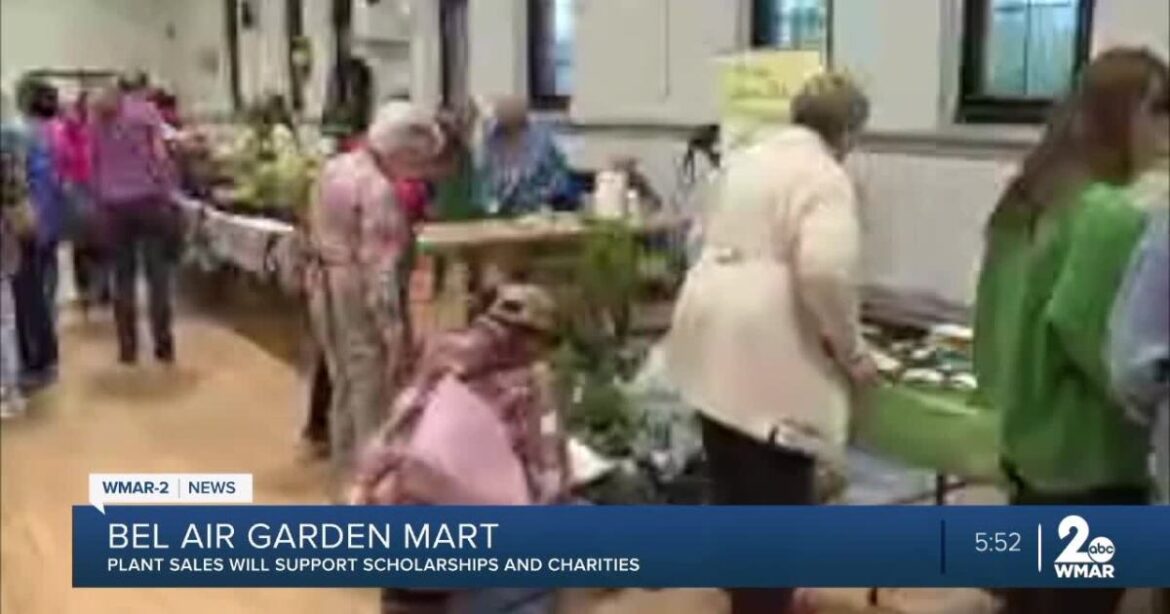 Bel Air Garden Mart held to support scholarships, charities in Harford County Bel Air Garden Mart held to support scholarships, charities in Harford County