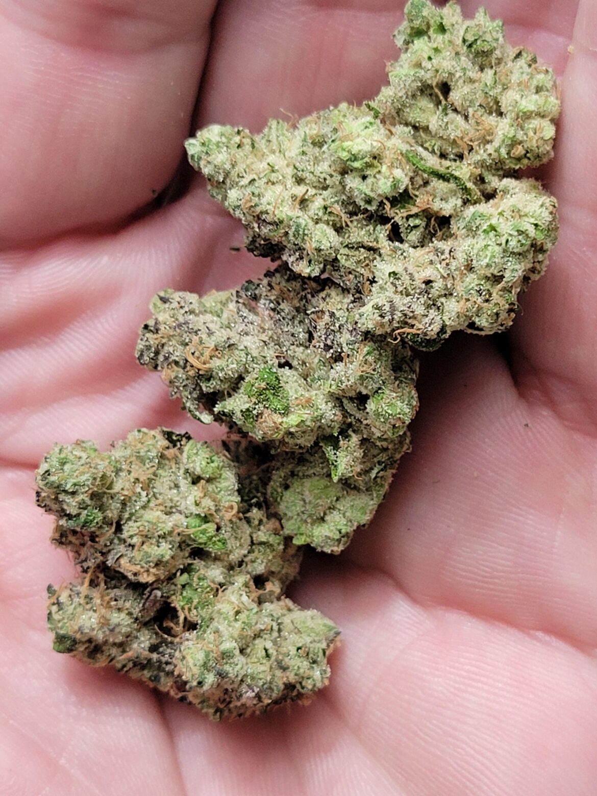 The Original SOUR DIESEL