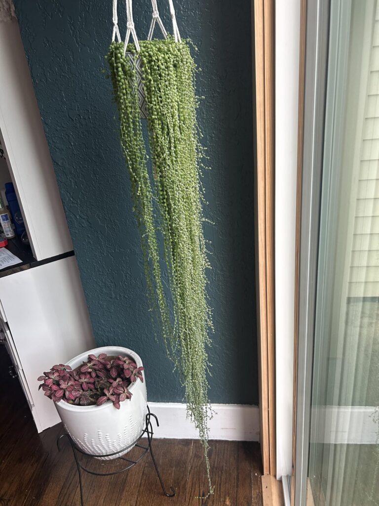 String of pearls