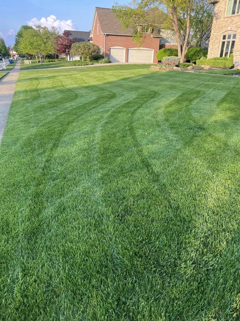 The best time of the year for cool season grasses.
