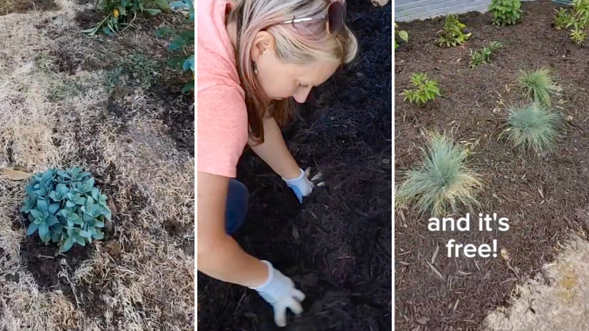 "Thank you, this is exactly the kind of different approach I didn’t know I needed."