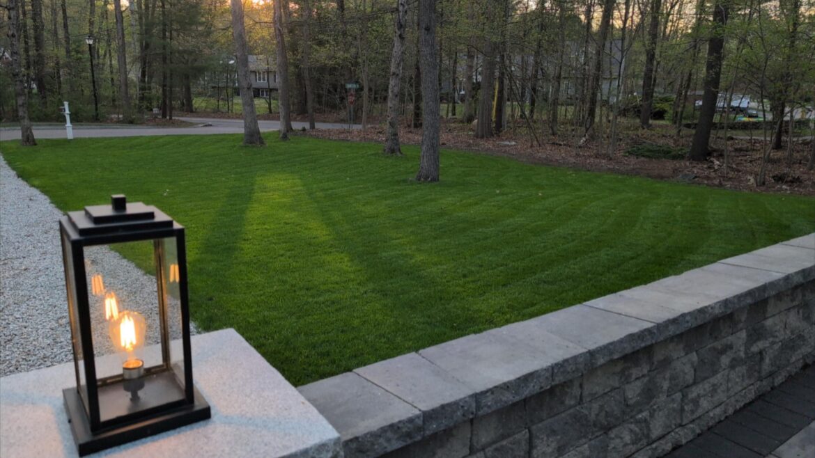 Really getting the dopamine flowing.