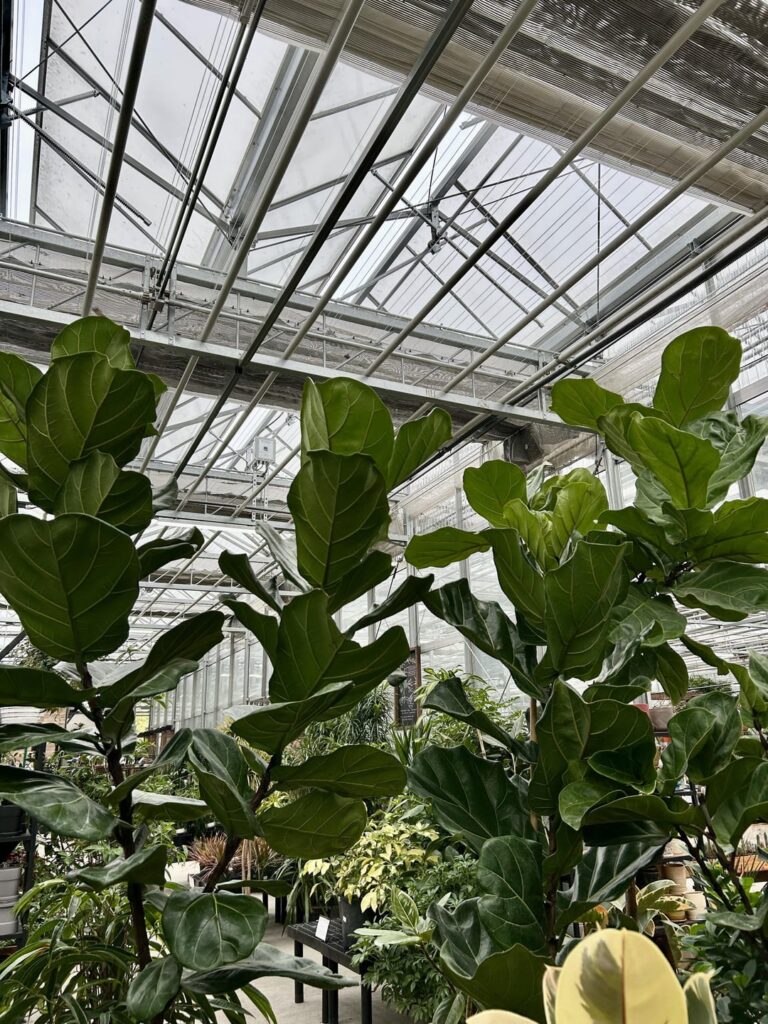 Happy FLFs at a big greenhouse