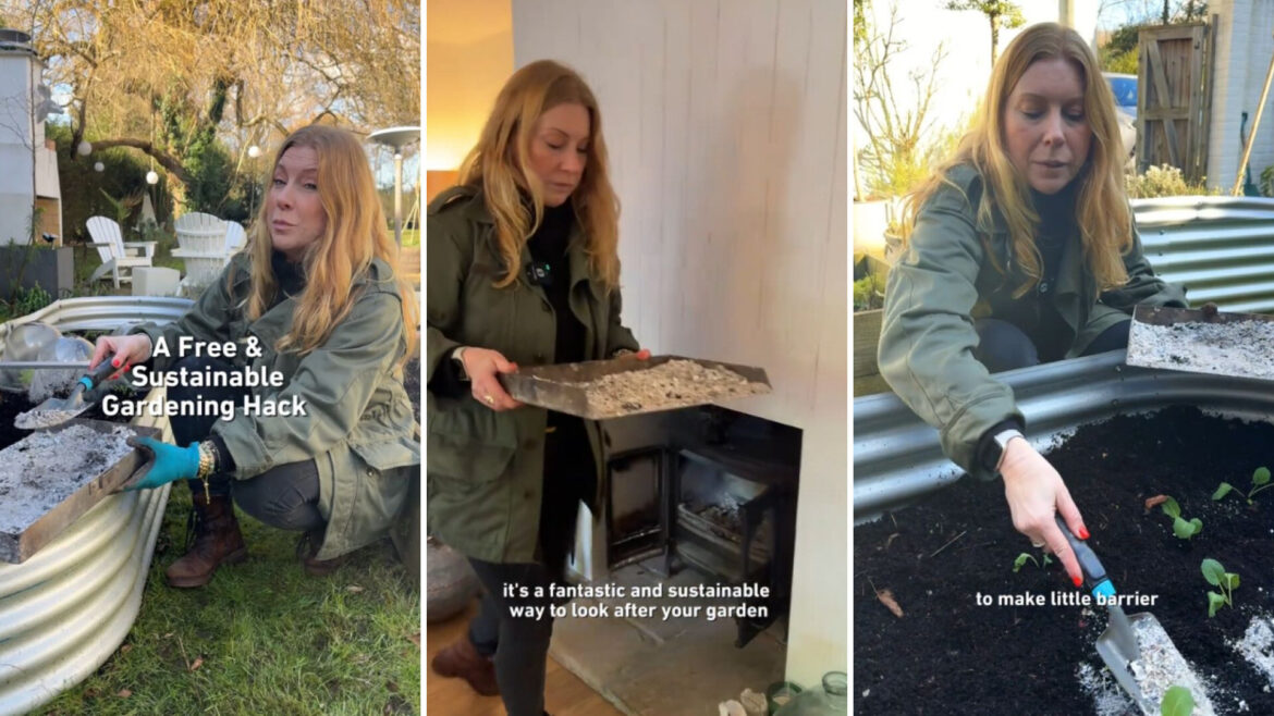 Gardener shares hack for a healthy garden using common household waste: ‘Fantastic’ There are some caveats to consider before using it.
