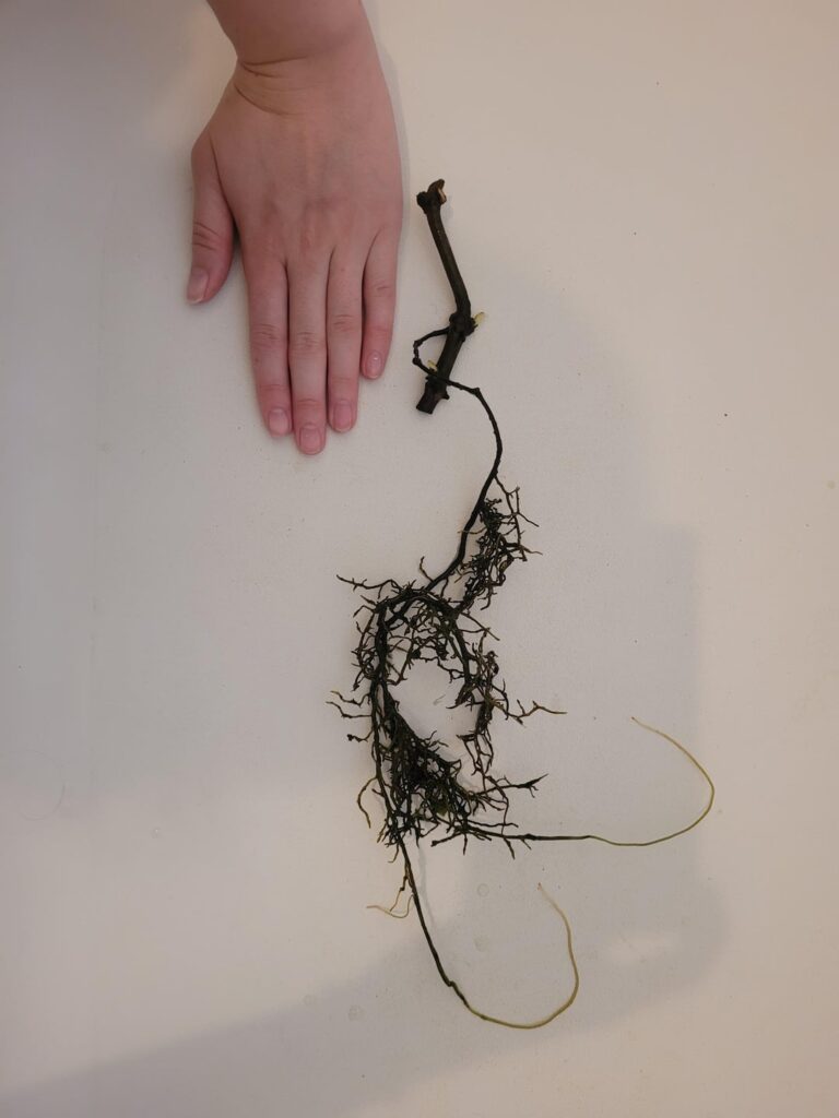 Is it salvageable?