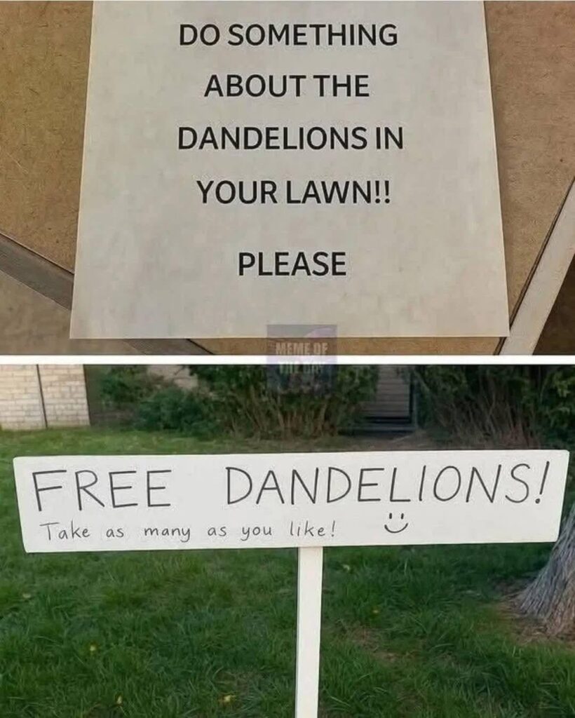 Is this allowed? Stolen from Facebook