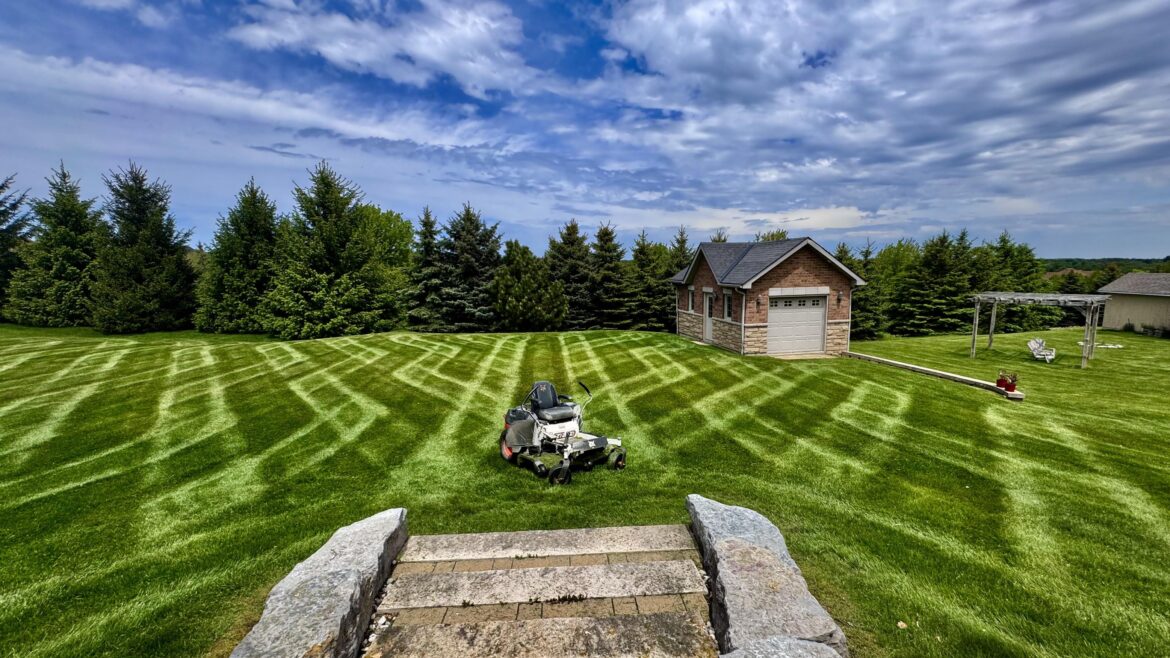 Feel like yall might appreciate this