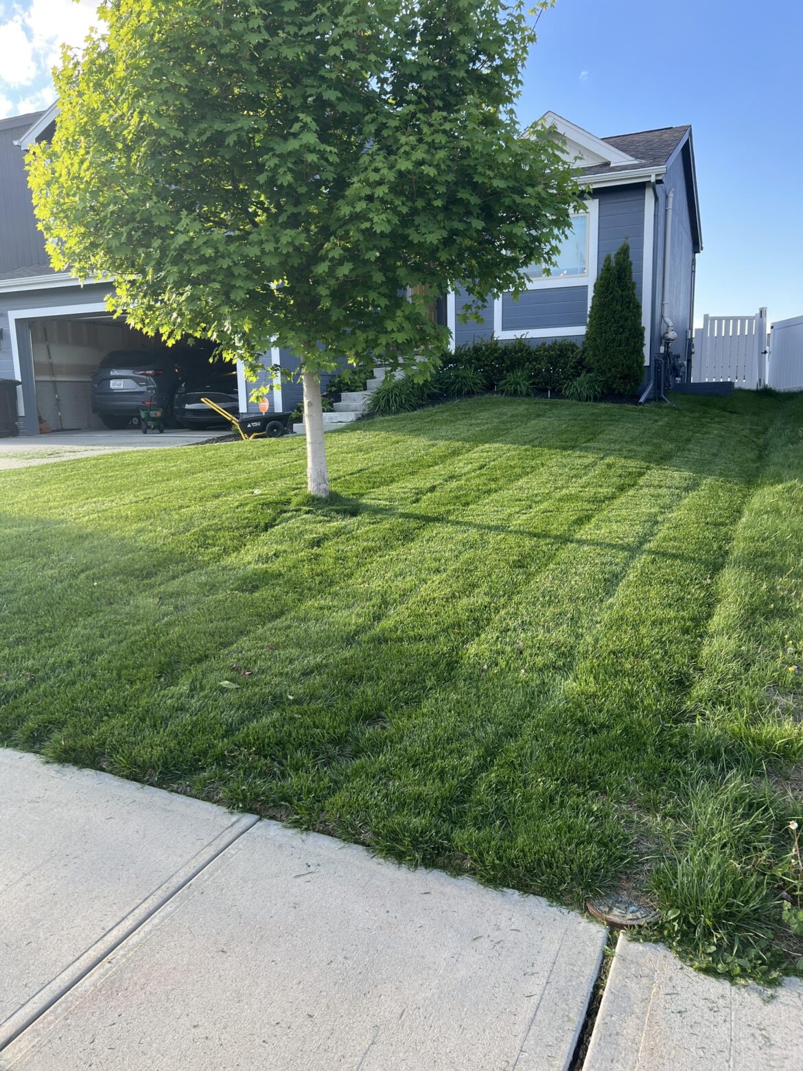Super Happy With my yard so far this year. Fall overseed paid off