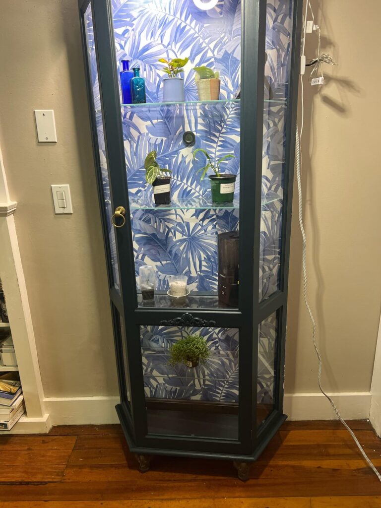 Plant suggestions?