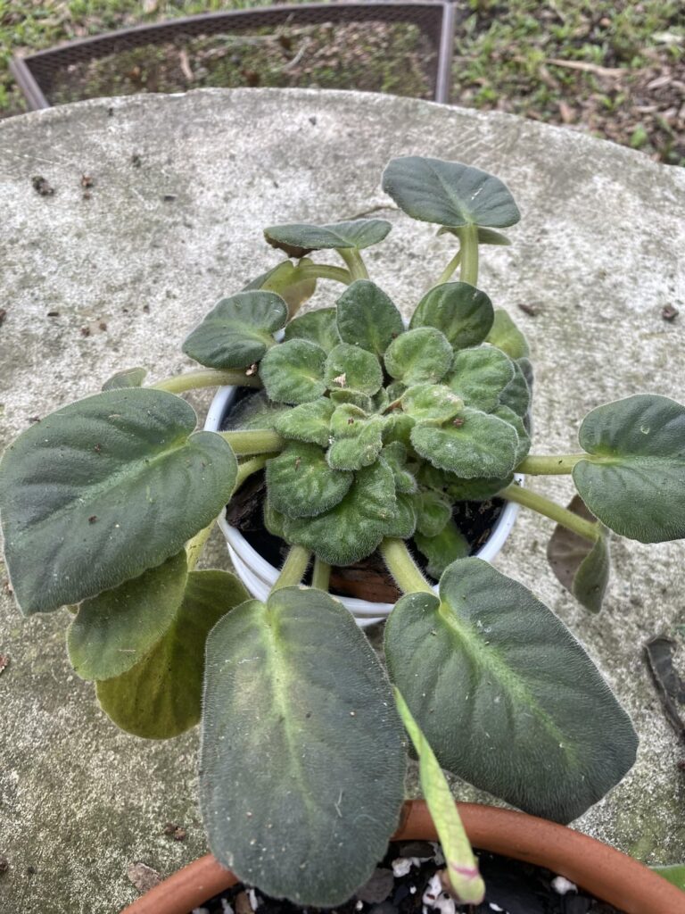 I need help please. (Reposting with pictures this time) I need help please. (Reposting with pictures this time)