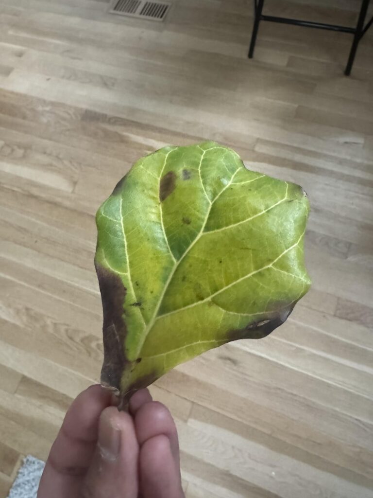 Should I be worried?