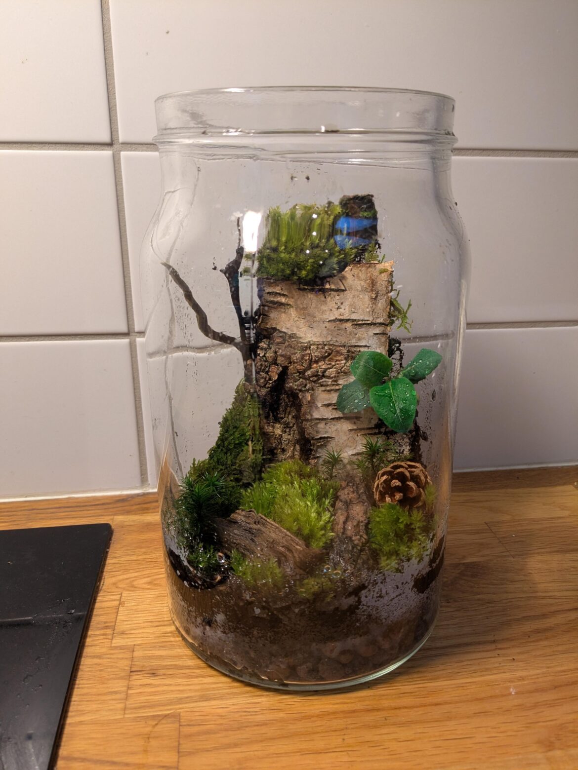 Newbie here, one of my first attempts