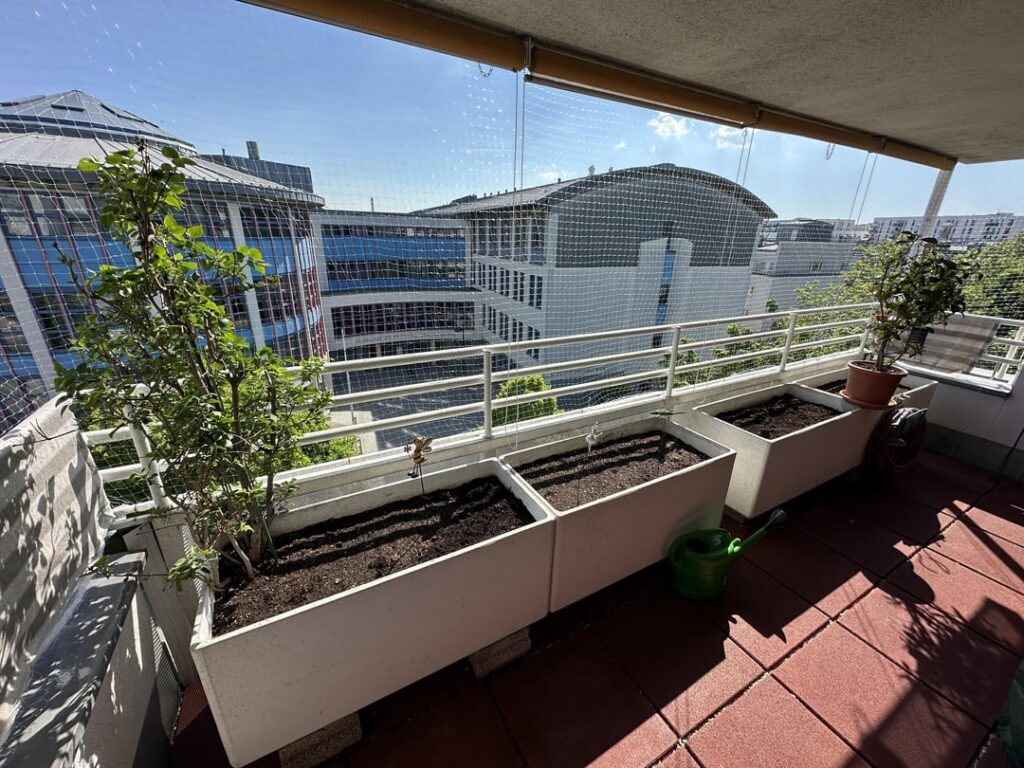 Looking for planting advice for 4 large balcony planters (low maintenance, hardy, shade-giving) Looking for planting advice for 4 large balcony planters (low maintenance, hardy, shade-giving)