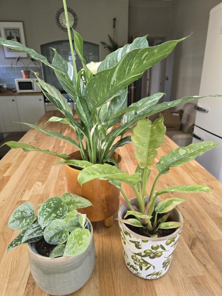 How many is too many