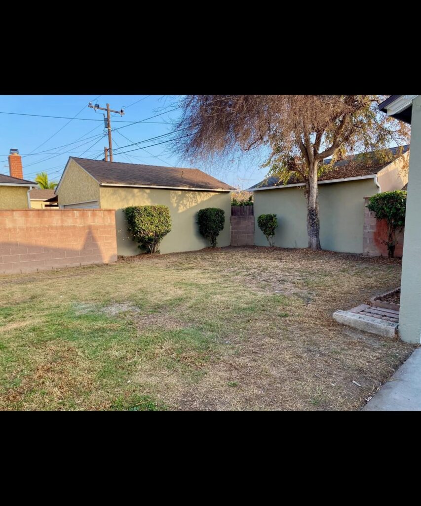 First time Over-seeding, I'm Happy with the results