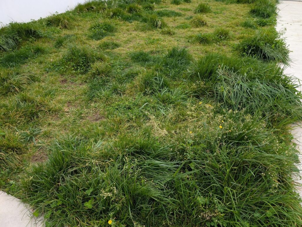 Start from beginning or pick up where it is Start from beginning or pick up where it is