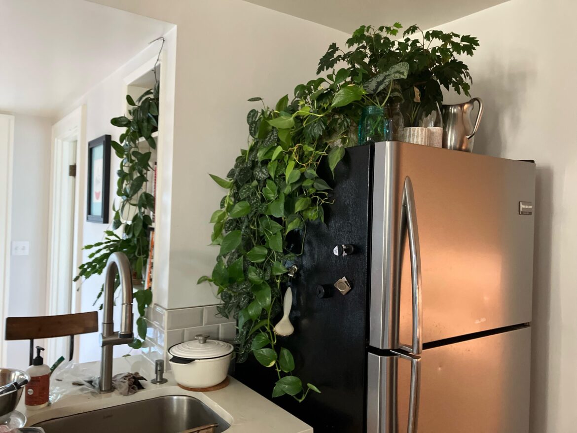 Fridge is so much prettier now