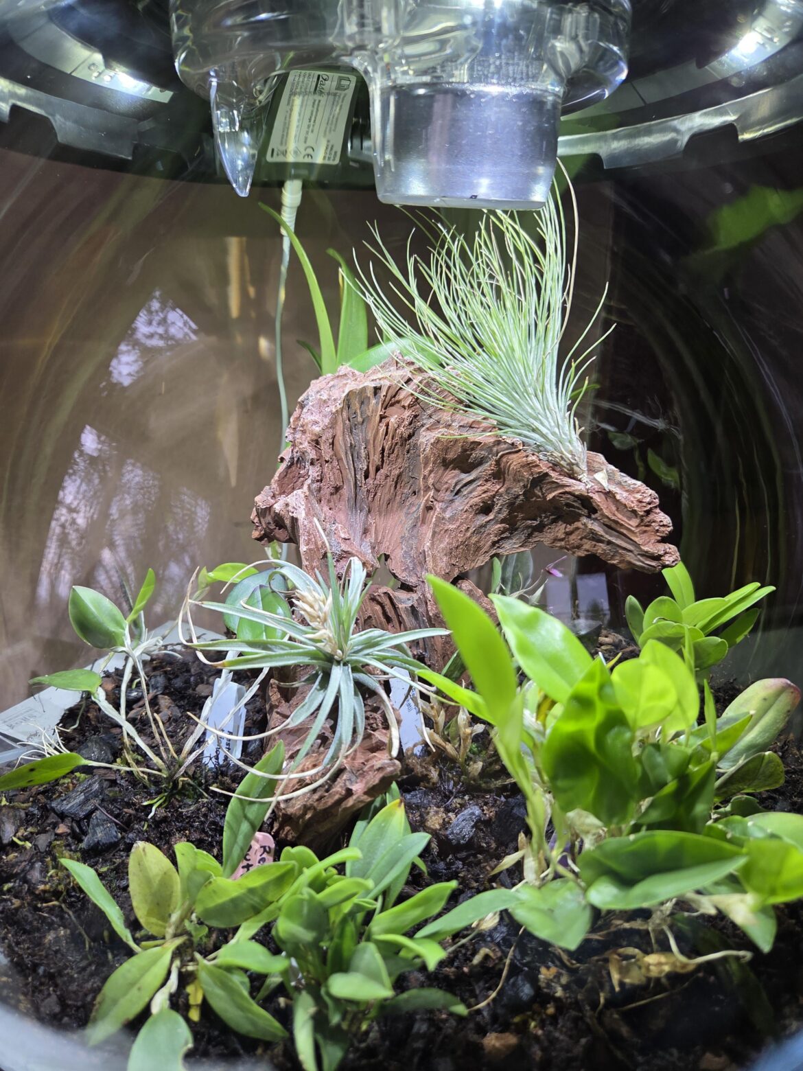 They've been contained