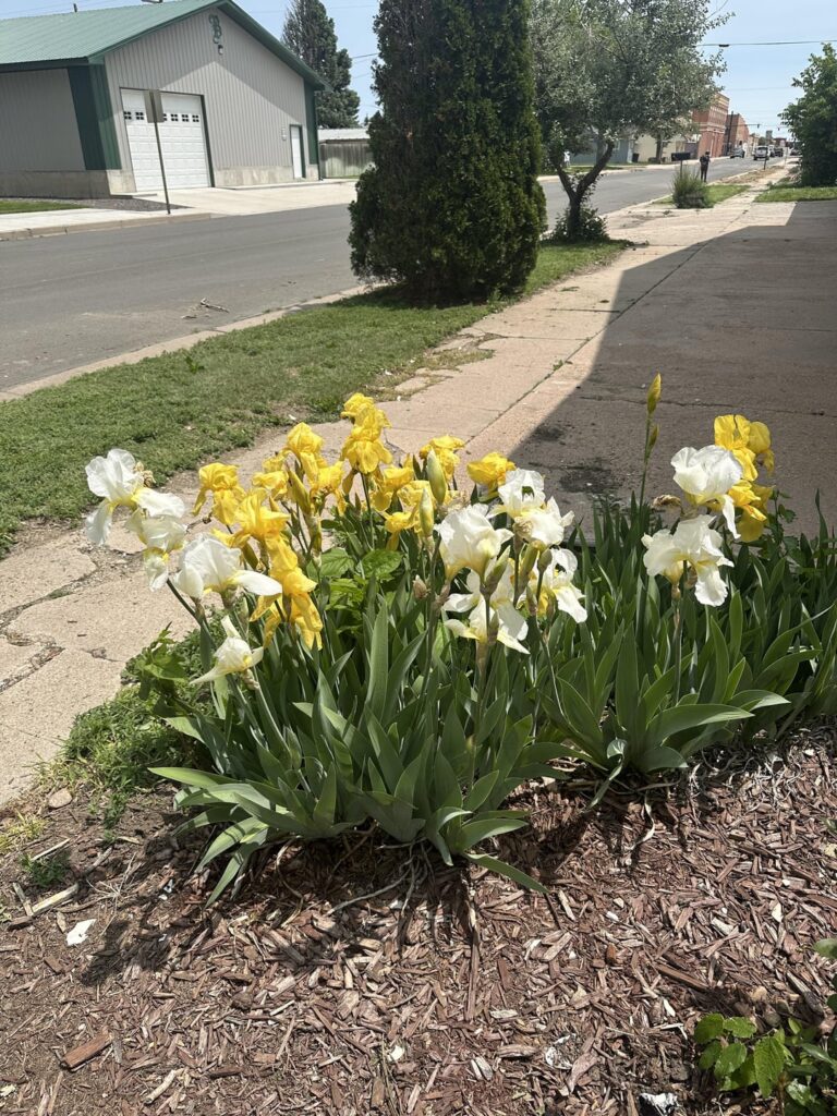 Can anyone identify this?
