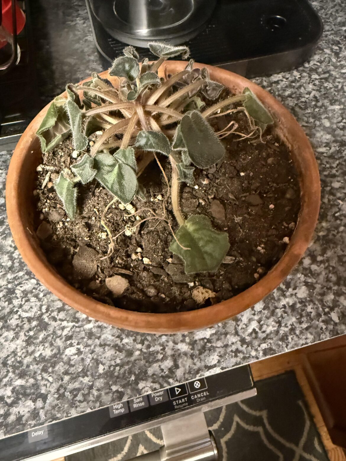 Salvageable?