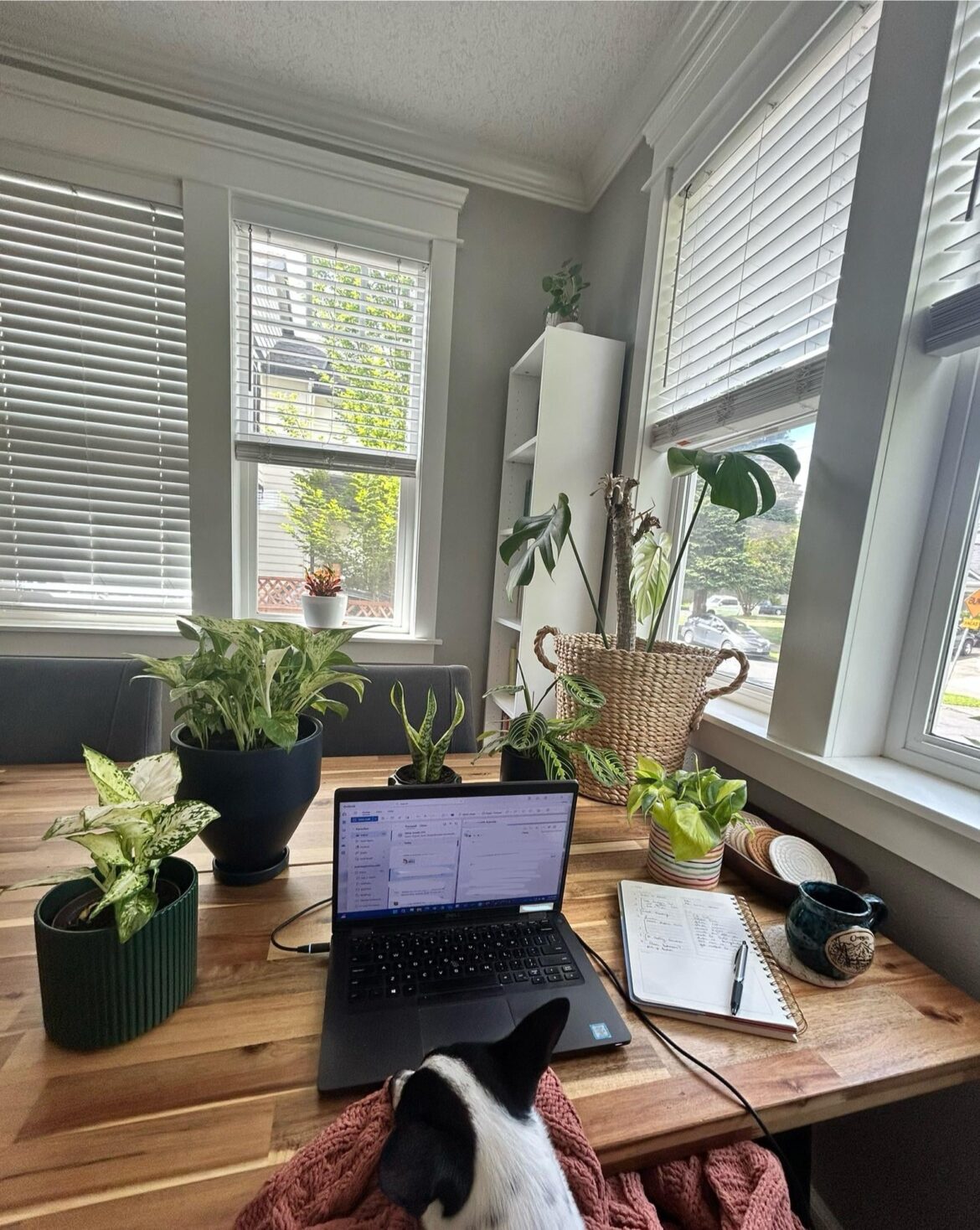 do you ever just need to, like, assemble the council