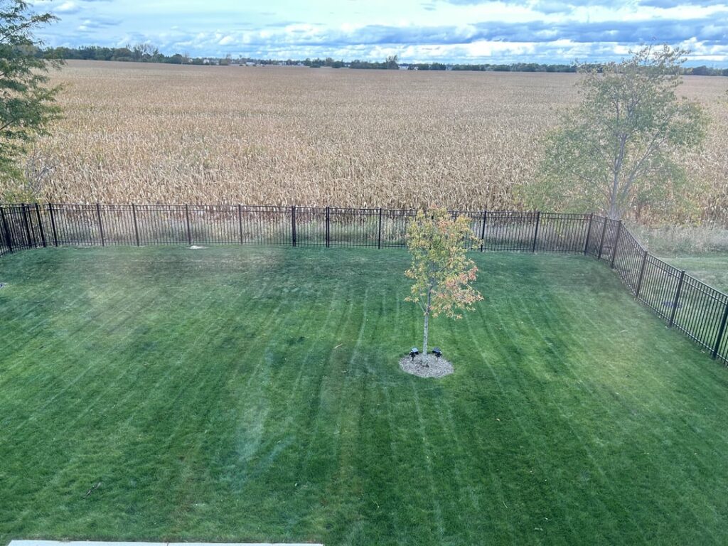 Any idea what happened to my lawn over winter?