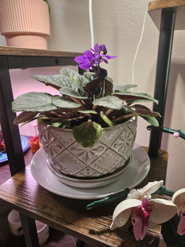 Should I switch to smaller pot now?