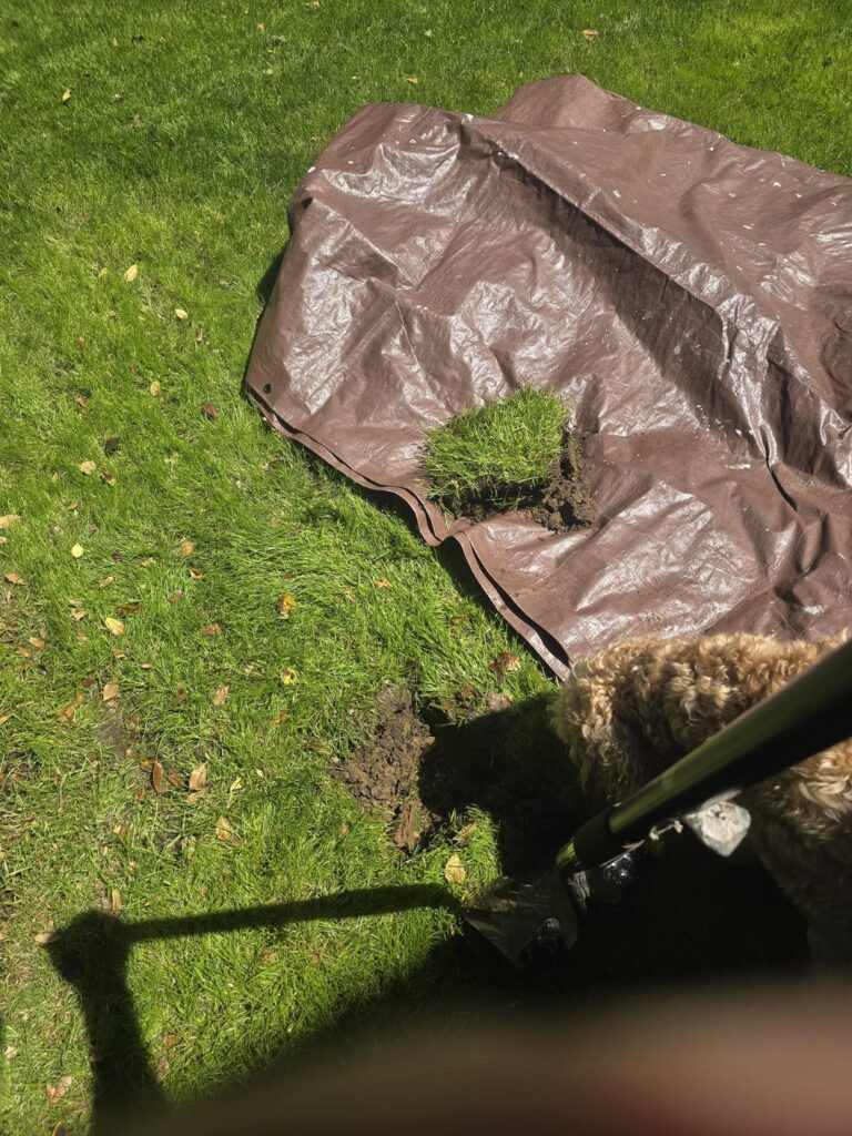 Vertical drainage: a think some old guy told me to do on a 10 yo YouTube video.