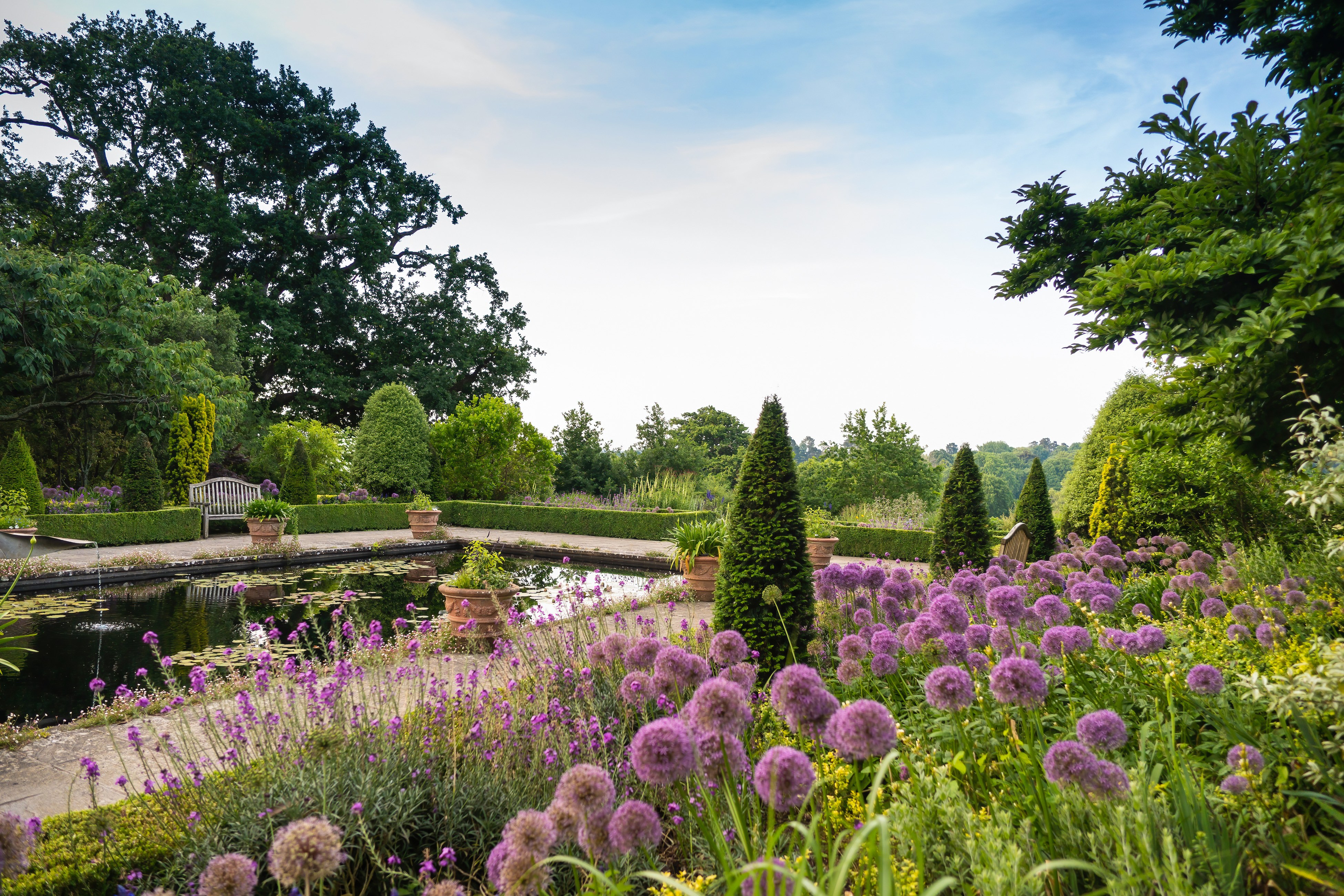 Formal garden with pond and purple flowers.