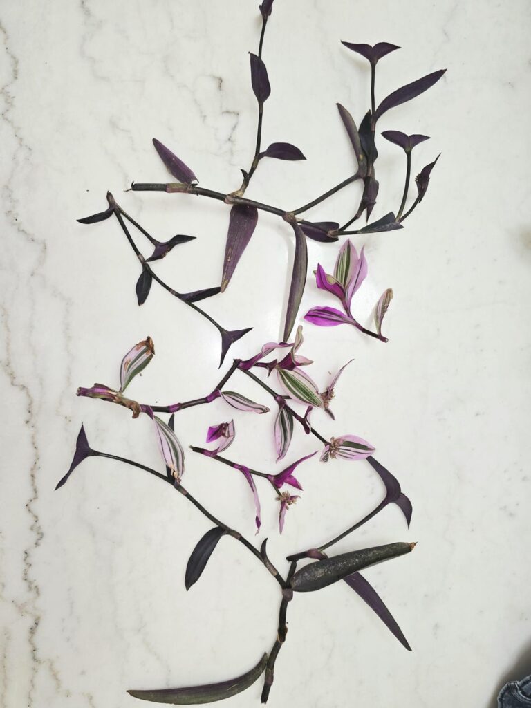 Can these be saved?? Broke off