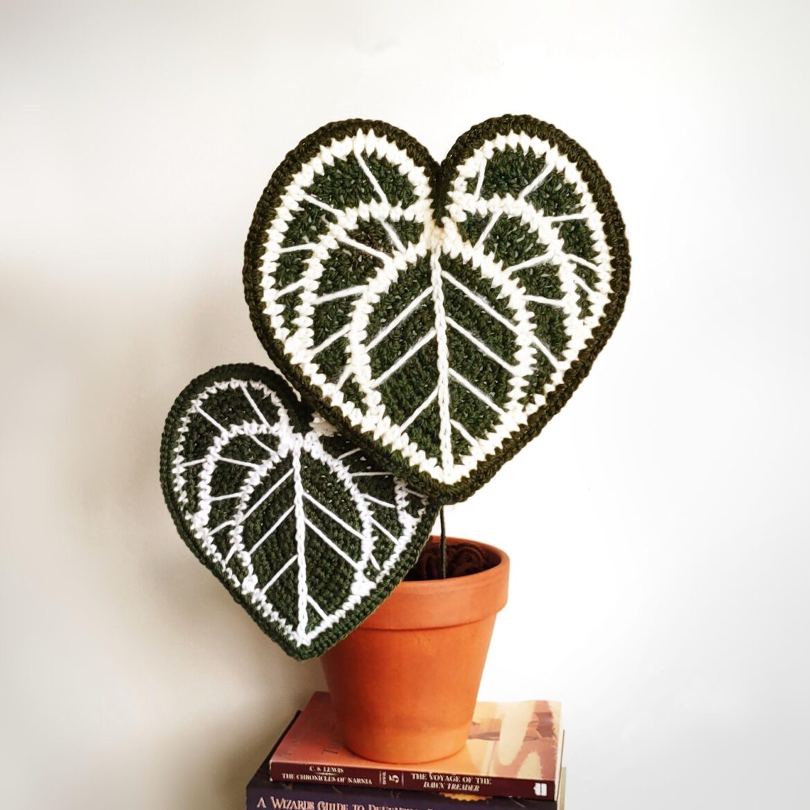 When you can't afford anthuriums, but you can crochet