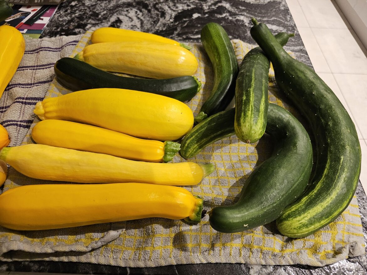 Harvest 3