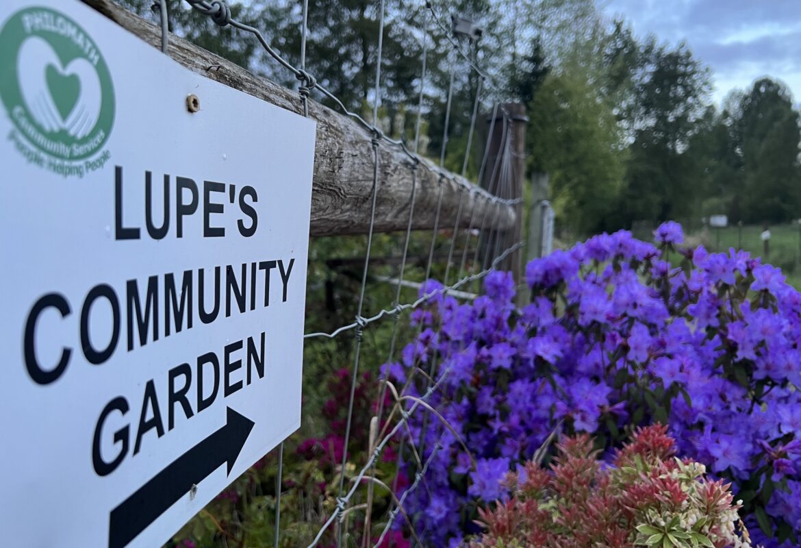 Lupe’s Community Garden hosting Kids Planting Day event Lupe’s Community Garden hosting Kids Planting Day event