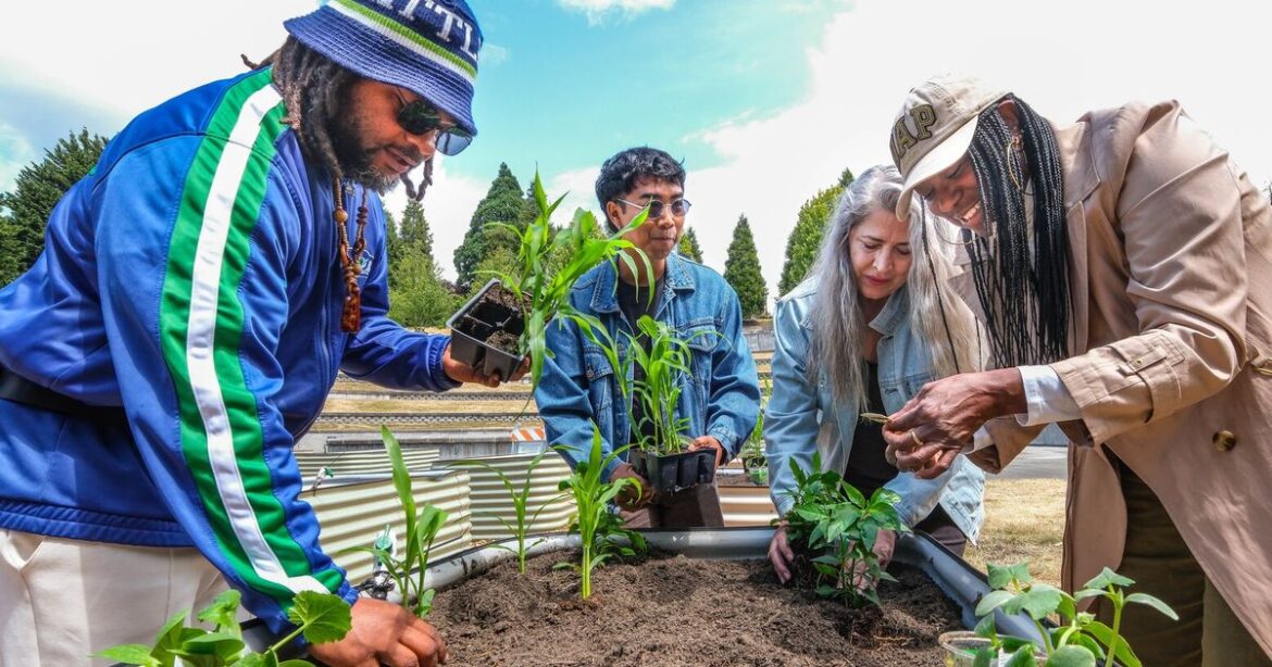 Seattle to get healing garden at MLK Memorial Park Seattle to get healing garden at MLK Memorial Park