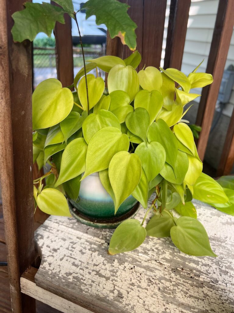 Doesn’t this just make you happy ? 😍